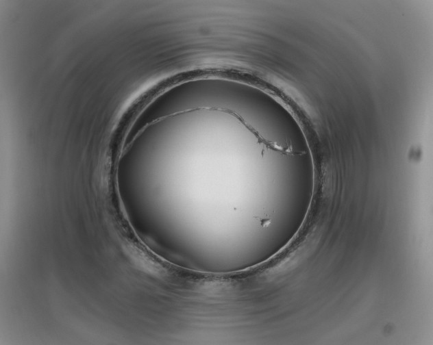 X0000096971021200802081247