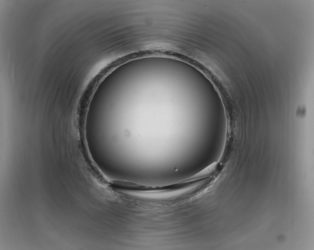 X0000096971022200802081247
