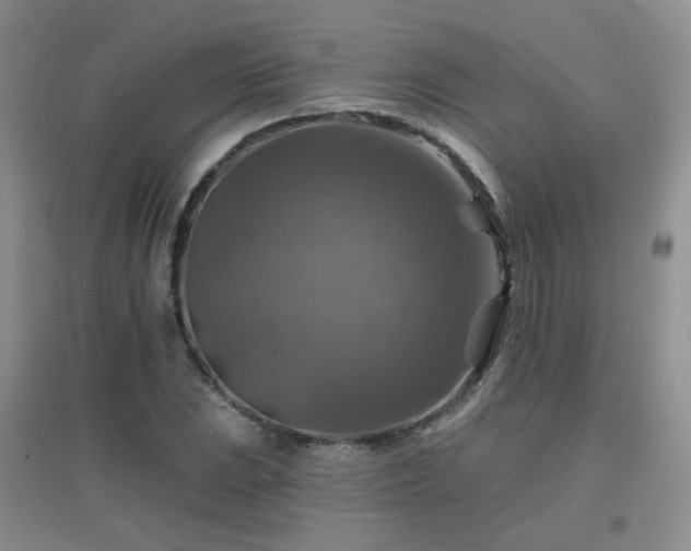 X0000096971023200802081247