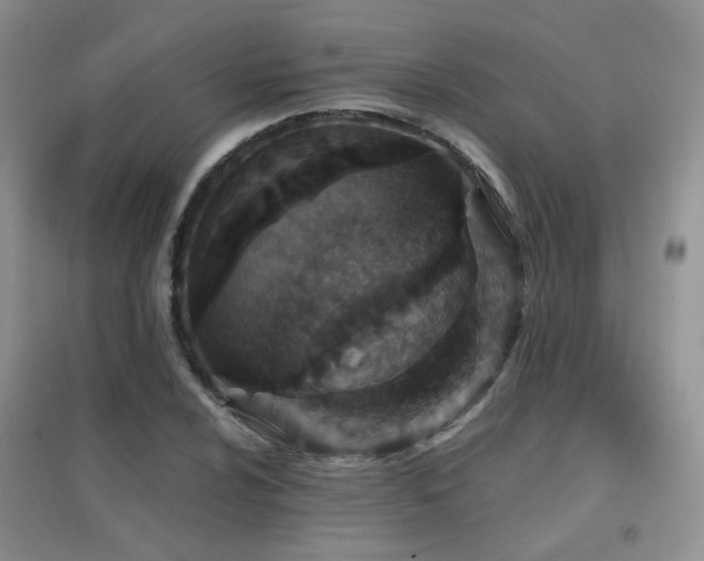 X0000096971024200802081247