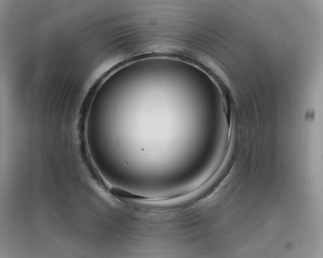 X0000096971026200802081247