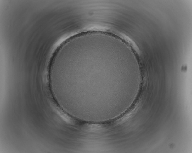 X0000096971027200802081247
