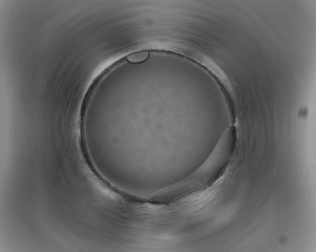 X0000096971028200802081247