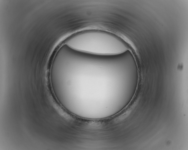 X0000096971029200802081247