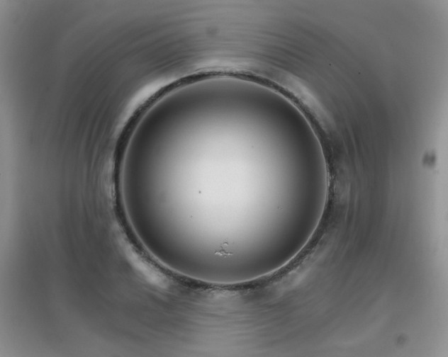 X0000096971030200802081247