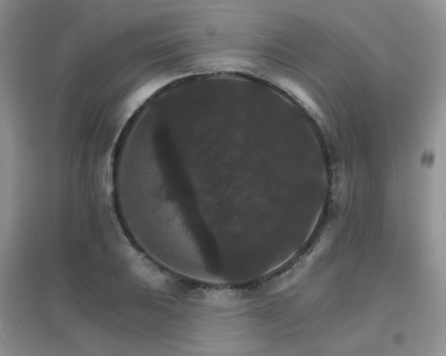 X0000096971031200802081247
