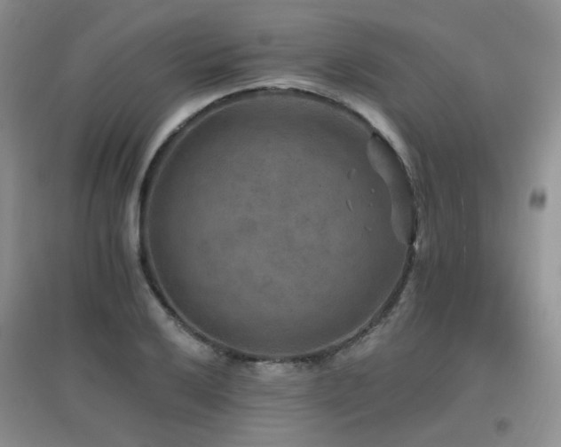 X0000096971032200802081247