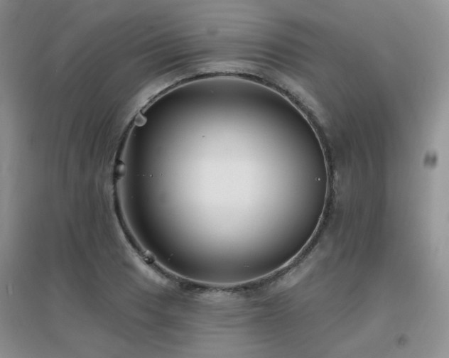X0000096971033200802081247