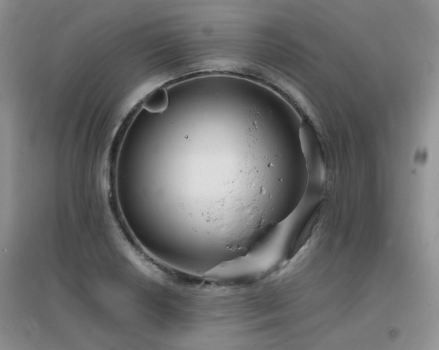 X0000096971034200802081247