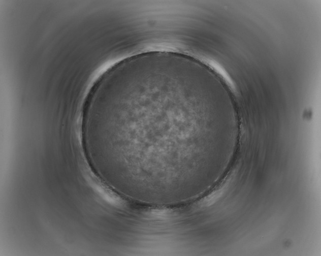 X0000096971035200802081247