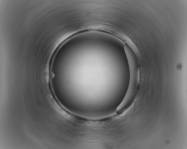 X0000096971036200802081247