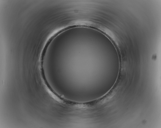 X0000096971037200802081247