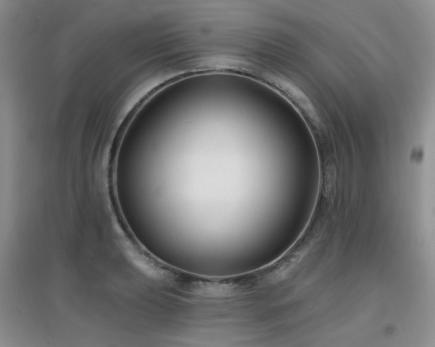 X0000096971039200802081247