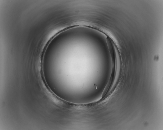 X0000096971040200802081247
