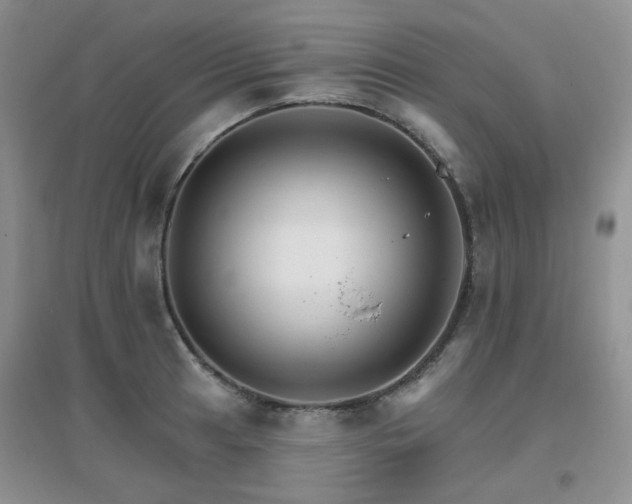 X0000096971041200802081247