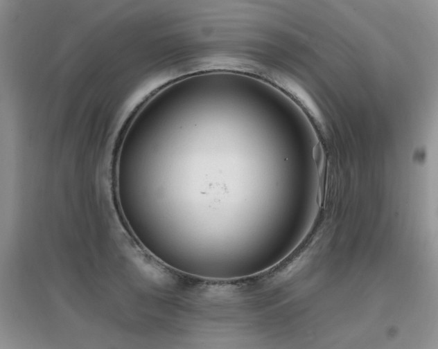 X0000096971043200802081248