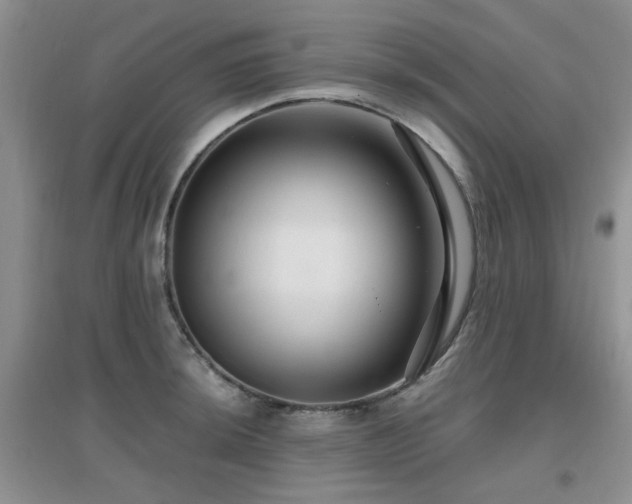 X0000096971044200802081248