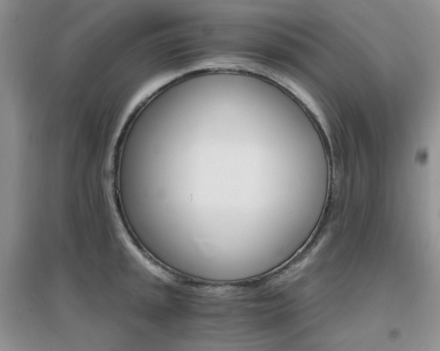 X0000096971045200802081248