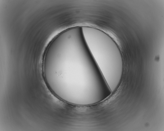 X0000096971046200802081248
