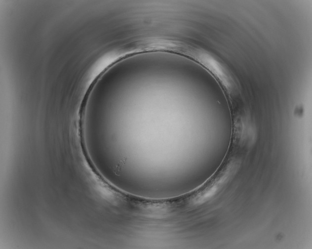 X0000096971047200802081248