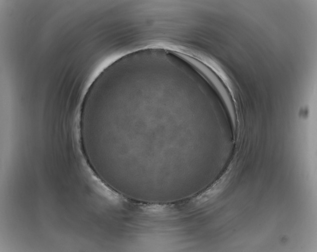 X0000096971048200802081248