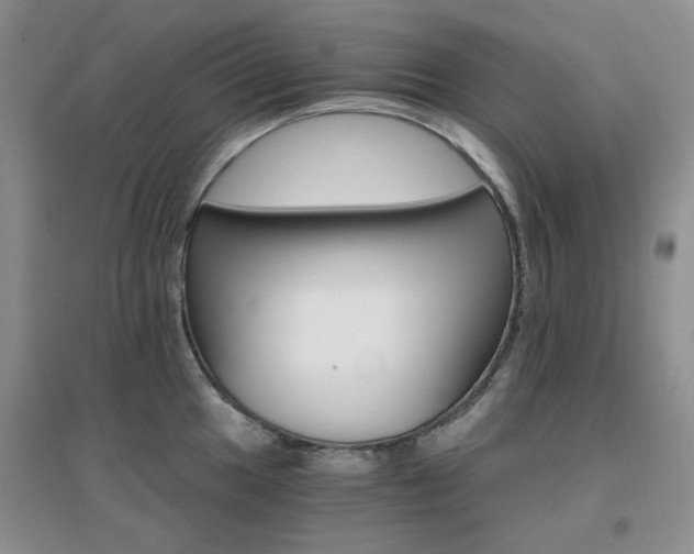 X0000096971049200802081248