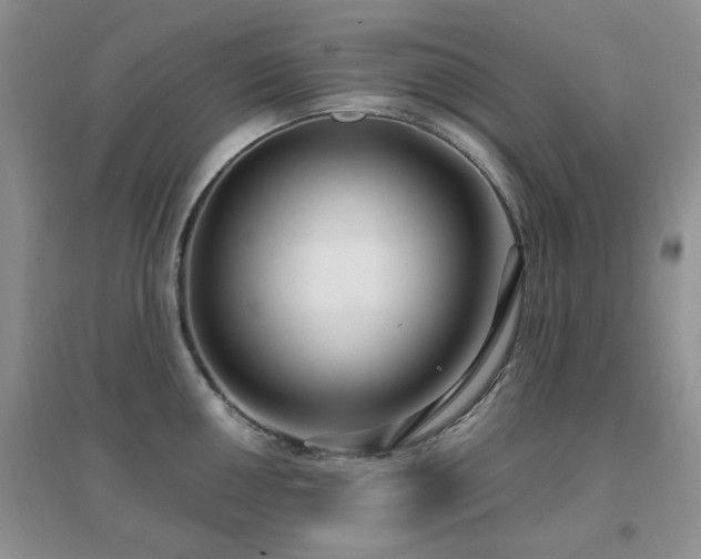 X0000096971050200802081248