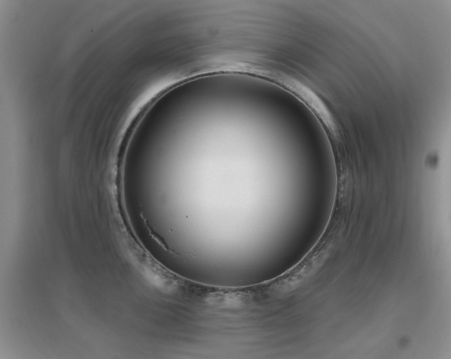 X0000096971051200802081248