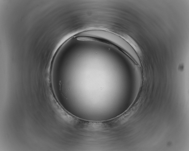 X0000096971052200802081248