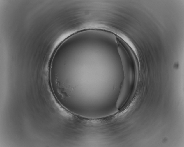 X0000096971053200802081248