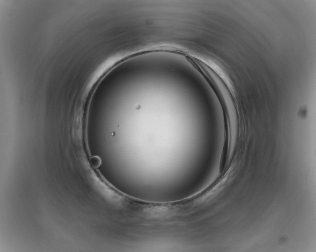 X0000096971054200802081248