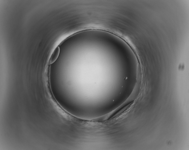 X0000096971056200802081248