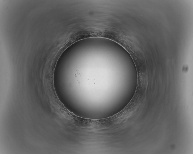 X0000096971057200802081247