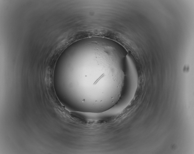 X0000096971058200802081247