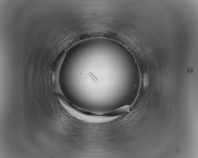 X0000096971059200802081247