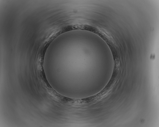 X0000096971060200802081247