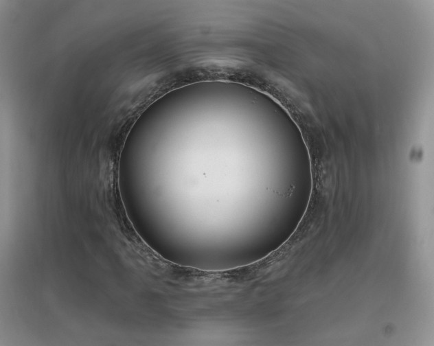 X0000096971061200802081247