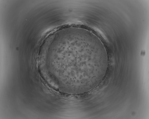 X0000096971063200802081247
