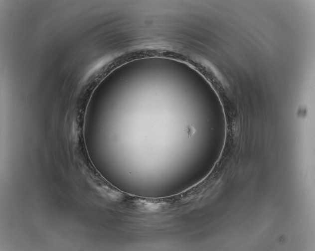 X0000096971064200802081247