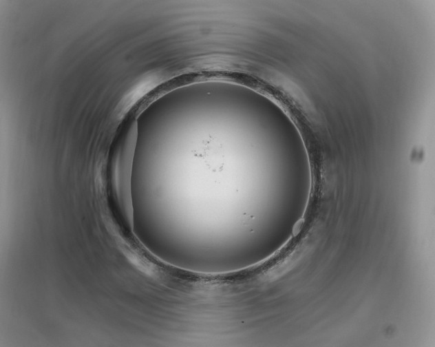 X0000096971065200802081247