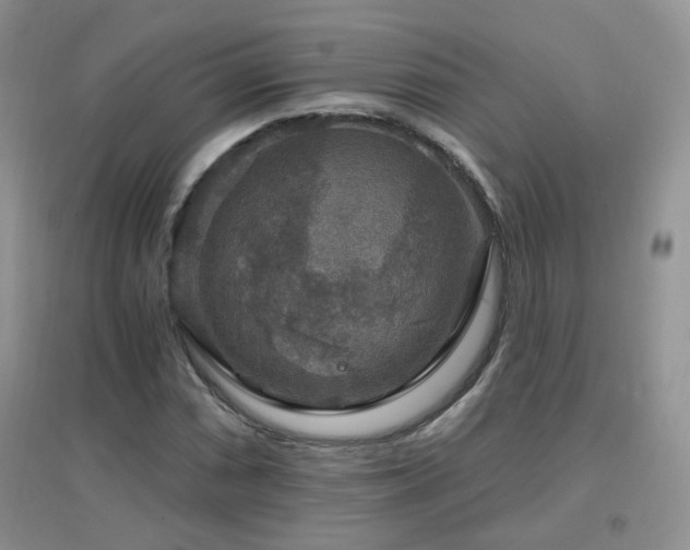 X0000096971066200802081247