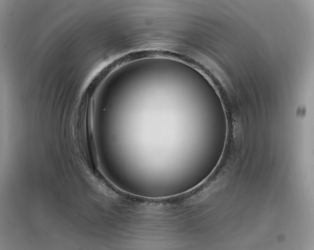 X0000096971069200802081247