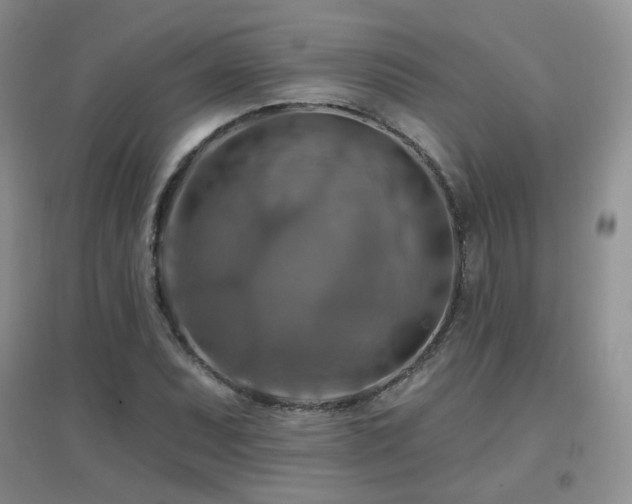 X0000096971071200802081247