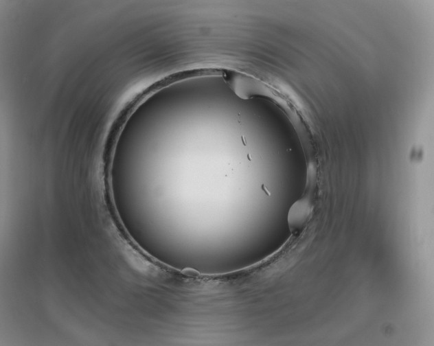 X0000096971072200802081247