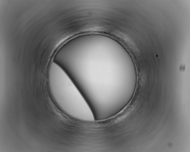 X0000096971073200802081247