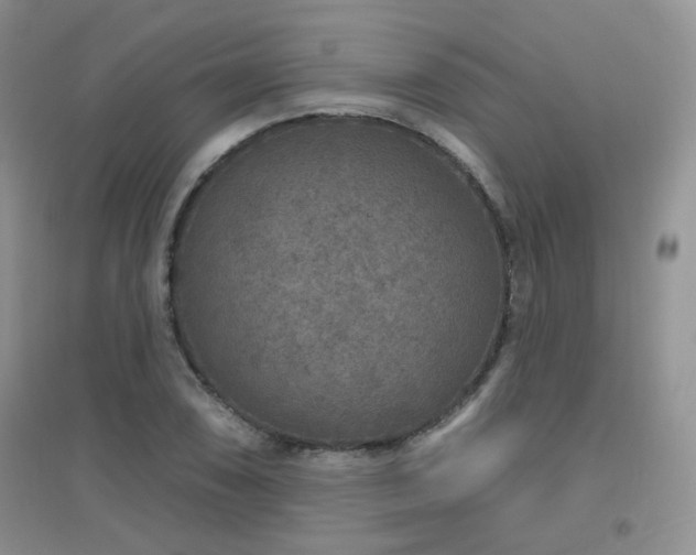 X0000096971074200802081247