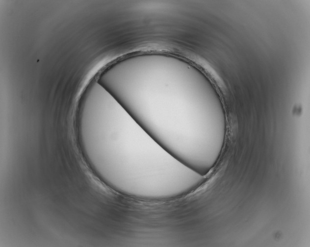 X0000096971075200802081247