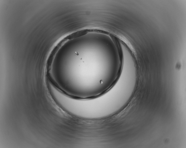 X0000096971076200802081247