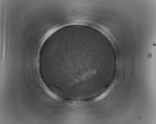 X0000096971077200802081247