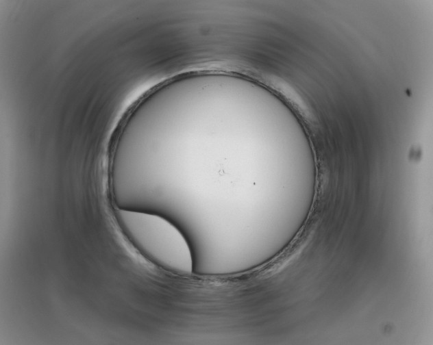 X0000096971079200802081247
